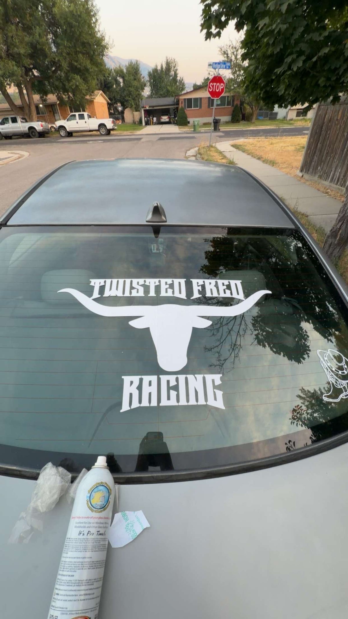 TFR X LONGHORN STICKER