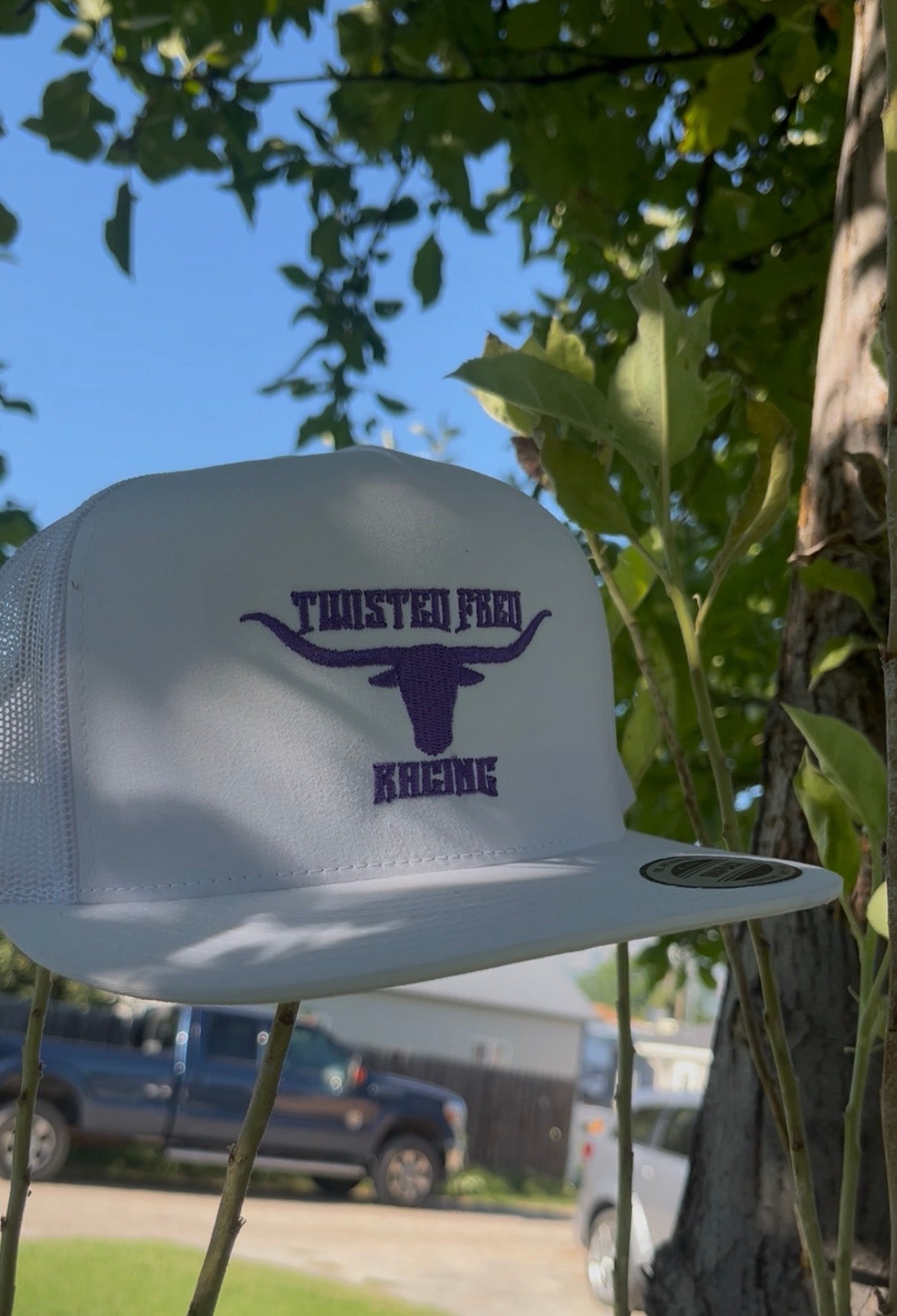 TFR x LONGHORN PURPLE snapback hat